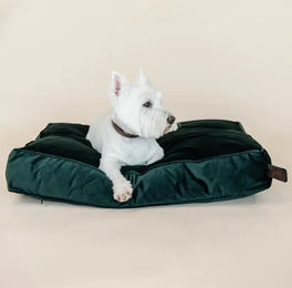 Kentucky Dogwear Hundekissen Velvet Größe M – Bild 1 von 1
