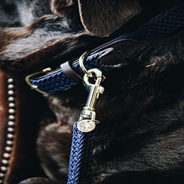 Kentucky Dogwear Hundeleine aus geflochtenem Nylon Grau 2m - 2 m – Bild 1 von 3