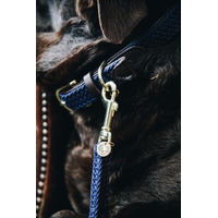 Produktbild von Kentucky Dogwear Hundeleine aus geflochtenem Nylon Hellblau 120 cm Size L