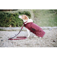 Produktbild von Kentucky Dogwear Hundeleine aus geflochtenem Nylon in Beige 120 cm Size L - 120 cm