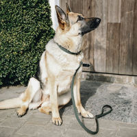 Produktbild von Kentucky Dogwear Hundeleine aus geflochtenem Nylon in Grün 120 cm - 120 cm