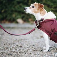 Produktbild von Kentucky Dogwear Hundeleine aus geflochtenem Nylon in Rot Grösse L - 120 cm