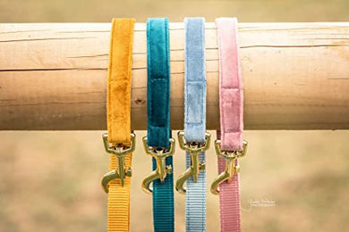Kentucky Dogwear Hundeleine aus Velours in Bordeaux Rot 200cm - 200 cm – Bild 1 von 5