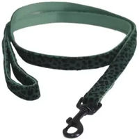 Produktbild von Kentucky Dogwear Hundeleine Leopard Grün 120 cm
