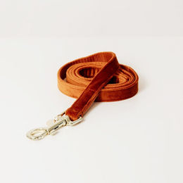Kentucky Dogwear Hundeleine Velvet aus Nylon in Orange 120 cm - 120 cm – Bild 1 von 2