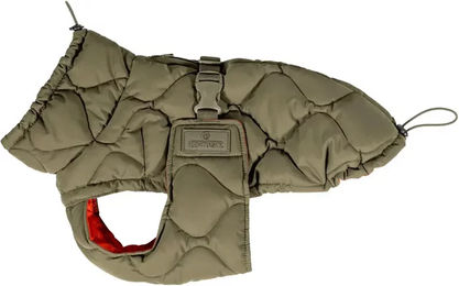 Kentucky Dogwear Hundemantel Pina Winter wasserabweisend aus Polyester – Bild 1 von 6