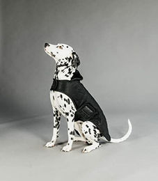 Kentucky Dogwear Hundemantel Schwarz Winter Polyester Größe L – Bild 1 von 5