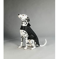 Produktbild von Kentucky Dogwear Hundemantel Schwarz Winter Polyester Größe L