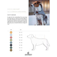Produktbild von Kentucky Dogwear Hundemantel Silber S/M Wasserabweisend und Reflektierend