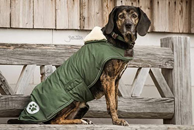 Kentucky Dogwear Hundemantel Waterproof Grün Größe M – Bild 1 von 6