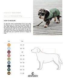 Kentucky Dogwear Hundemantel Waterproof Grün Größe S – Bild 1 von 10