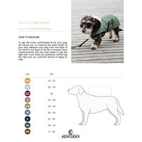Produktbild von Kentucky Dogwear Hundemantel Waterproof Grün Größe S