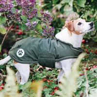 Produktbild von Kentucky Dogwear Hundemantel Waterproof Grün XXL - 300 g
