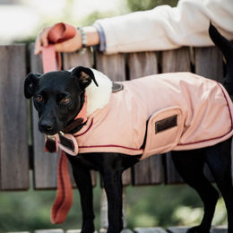 Kentucky Dogwear Hundemantel Waterproof Winter Rosa XL – Bild 1 von 10