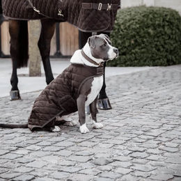 Kentucky Dogwear Hundemantel Winter Braun Größe M - 160 g – Bild 1 von 2