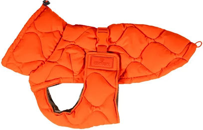 Kentucky Dogwear Hundemantel Winter Pina Orange wasserabweisend – Bild 1 von 2