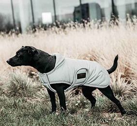 Kentucky Dogwear Hundemantel Winter Silber XS Wasserabweisend mit Reflektierung – Bild 1 von 9