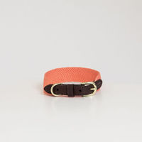 Produktbild von Kentucky Dogwear Jacquard Hundehalsband aus Nylon in Orange Größe M/L - 58 cm