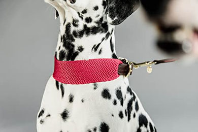 Kentucky Dogwear Jacquard Hundehalsband aus Nylon in Rosa Größe L 62cm - 62 cm – Bild 1 von 5