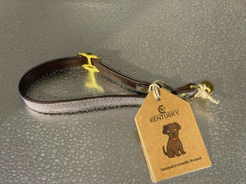 Produktbild von Kentucky Dogwear Leder Halsband Mini Grau Gr. XS 35 cm