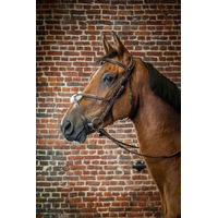 Produktbild von Kentucky Dy'on Trense mit mexikanischem Reithalfter aus Leder in Braun für Warmblut