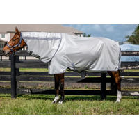 Produktbild von Kentucky Fliegendecke Amigo Integrated Fly Sheet für Pferde Silber Grau 81 cm