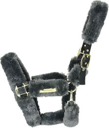 Kentucky Halfter aus Nylon in Grau Größe M - 1 Stk. – Bild 1 von 6