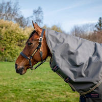Produktbild von Kentucky Horseware Amigo Bravo 12 Plus Turnout Outdoor-Pferdedecke mit Halsabdeckung 0g