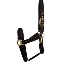 Produktbild von Kentucky Horsewear 3D Mesh Pferdehalfter aus Nylon in Schwarz für Vollblut