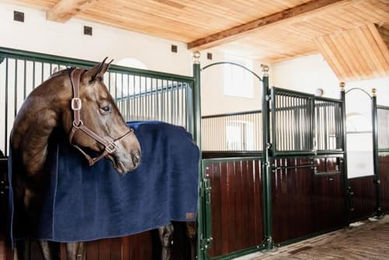 Kentucky Horsewear Abschwitz-Unterdecke Square Heavy aus Polyester in Blau – Bild 1 von 6