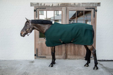 Kentucky Horsewear Abschwitzdecke 4D Spacer Grün 140 cm – Bild 1 von 9