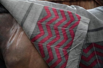 Kentucky Horsewear Abschwitzdecke Heavy Fleece Square Fishbone Grau Rot XL 210x200 cm – Bild 1 von 9