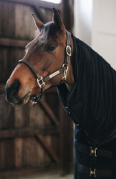 Kentucky Horsewear Abschwitzdecke Towel Rug Schwarz Größe M – Bild 1 von 5