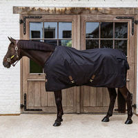 Produktbild von Kentucky Horsewear All Weather Classic Outdoor-Decke für Pferde Schwarz 155 cm