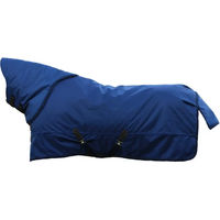 Produktbild von Kentucky Horsewear All Weather Pro Weidedecke für Pferde Blau 130 - 300 g