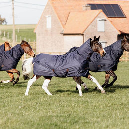 Kentucky Horsewear All Weather Quick Dry Weidedecke für Pferde mit Fleece-Halsteil 150g Blau 140 – Bild 1 von 13