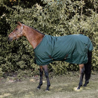 Produktbild von Kentucky Horsewear All Weather Turnout 160g Outdoor-Decke für Pferde in Grün