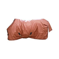 Produktbild von Kentucky Horsewear All Weather Turnout 160g Pferdedecke Orange - 160 g