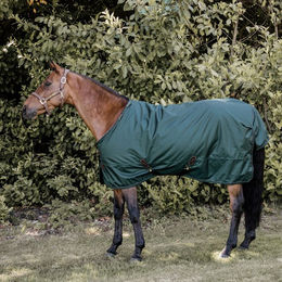 Kentucky Horsewear All Weather Turnout Pferdedecke 160g Dunkelgrün – Bild 1 von 3