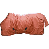 Produktbild von Kentucky Horsewear All Weather Waterproof Pro Weidedecke für Pferde Orange 145