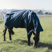 Produktbild von Kentucky Horsewear Allwetter-Pferdedecke wasserdicht Blau 140
