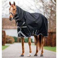 Produktbild von Kentucky Horsewear Amigo 1200D Integrierte Weidedecke für Pferde mit Halsabdeckung 50g Schwarz Silber