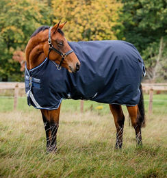 Kentucky Horsewear Amigo Bravo 12 Original Winterdecke Turnout Blau Medium - 250 g – Bild 1 von 5