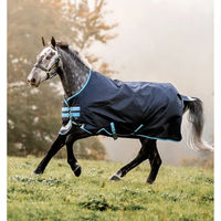 Produktbild von Kentucky Horsewear Amigo Bravo 12 Turnout Outdoor-Decke für Pferde Blau 50g - 165 cm