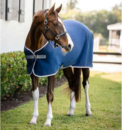 Kentucky Horsewear Amigo Jersey Cooler Pferdedecke für draußen aus Polyester – Bild 1 von 2