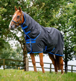 Produktbild von Kentucky Horsewear Amigo Ripstop 900 Plus Weidedecke für Pferde Schwarz Größe M - 200 g