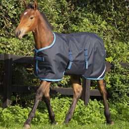 Kentucky Horsewear Amigo Ripstop 900D Fohlen Outdoor-Decke 50g – Bild 1 von 2
