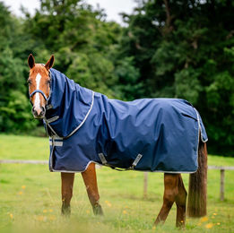 Kentucky Horsewear Amigo Ripstop 900D Plus Turnout Weidecke für Pferde Blau 100g Light - 1 Stk. – Bild 1 von 2