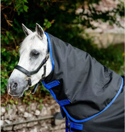 Kentucky Horsewear Amigo Ripstop 900D Turnout 0g Halsdecke für Pferde XL – Bild 1 von 5