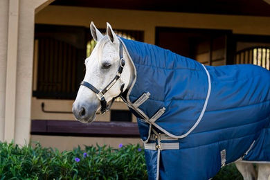 Produktbild von Kentucky Horsewear Amigo Ripstop Insulator Stall Decke 200g Blau Grau Grösse M